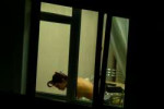 DSC8087.jpg