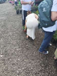 IMG7633.jpeg