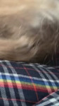 cf6bae32be08f18dce246622c8041cee.mp4