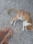 IMG1033.jpeg