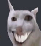 gyYgSCFdvYQ.jpg