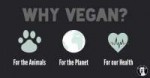 why-vegan-fb.jpg