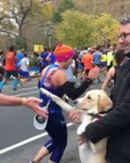 DOG HIGH 5S MARATHON RUNNERS.webm