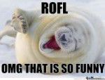 seal-roflo1107334.jpg