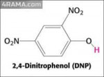 dinitrofenol-effect.jpg