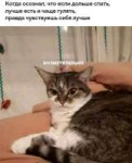 1783364806851123.jpg