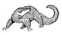 2010-10-13-A-Pangolin