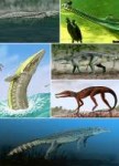 436px-Pancrocodyliadiversity.jpg