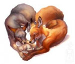 cute1548458182.hanmonsterdistort5hfoxfamilysmall.png