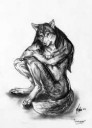 furry-фэндомы-furry-art-furry-wolf-1029861.jpeg