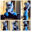 1491220474.fursuit-enterprise3-d.jpg