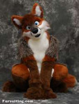 1424471434.fursuitingnachatokalu1.jpg