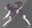 1496015450.becauseimpinkreydogsexybackshotnomess.png