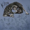 feralMaskedHusky-Kiba-Doodles.jpeg