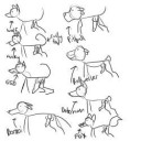 funDobies-How-to-Draw-Dogs-a-9-Step-Guide-by-Dobies.jpg