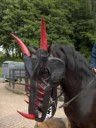 dragon-horse-head-2.jpg