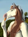 horsie.png