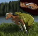 froghorse.png