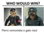 funwho-would-win-perro-comunista-o-gato-nazi.png