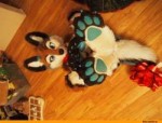 fursuit-furry-фэндомы-новый-год-4233052[1].jpeg