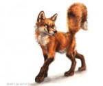 feral1586639223.kenketfoxwalkcrop.jpg