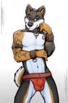 t1ctsaiwolf-Cyber-Monday-2017-Animosus-undies.png