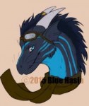 1441117976.blue443bluenight-watermarked.png