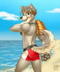 fit1401997616.vallhundundie-wolfpuptklifeguard02.png