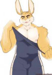 nShiuk-Sweaty-Singlet.png