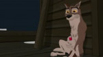 aOneDirtyDog-Balto-Pawing-Off-UPDATED.webm