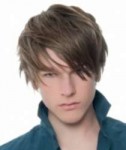 teenagers-boy-hairstyle-and-cuts-2013+teen+boys+haircuts+wi[...].png