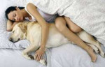 Women-sleeping-dog-bed.jpg