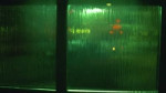 16426188913161.mp4