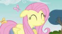 FluttershycutesmileS3E3.png