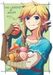 Link.(Breath.of.the.Wild).full.2084689.jpg