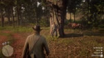 Red Dead Redemption 220181030202258.webm