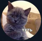 туть.PNG