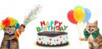 funny-cats-with-petard-and-birthday-cake-they-are-wearing-f[...].jpg