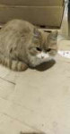IMG20190312210039.jpg
