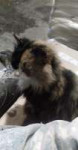 IMG20190313232619.jpg