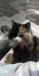 IMG20190313232621.jpg