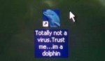 not a virus dolphin