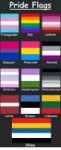 pride-flags-transgender-gay-lesbian-pansexual-asexual-bisex[...].png