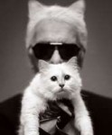 1486118319-choupette-karl-lagerfeld.jpg