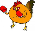 boxing rooster.jpg