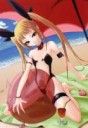 rachel alucard blazblue beach nude lolicon.jpg