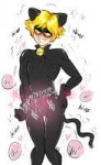 2203333 - CatNoir MiraculousLadybug.jpg