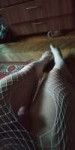11401ded-81ed-41f3-89e5-3fef0429f586.jpg
