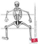 skelet-cheloveka-po-srednevekovomu-nemetskomu-risunku-00248[...].jpg
