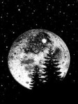 moon-27269821280.jpg